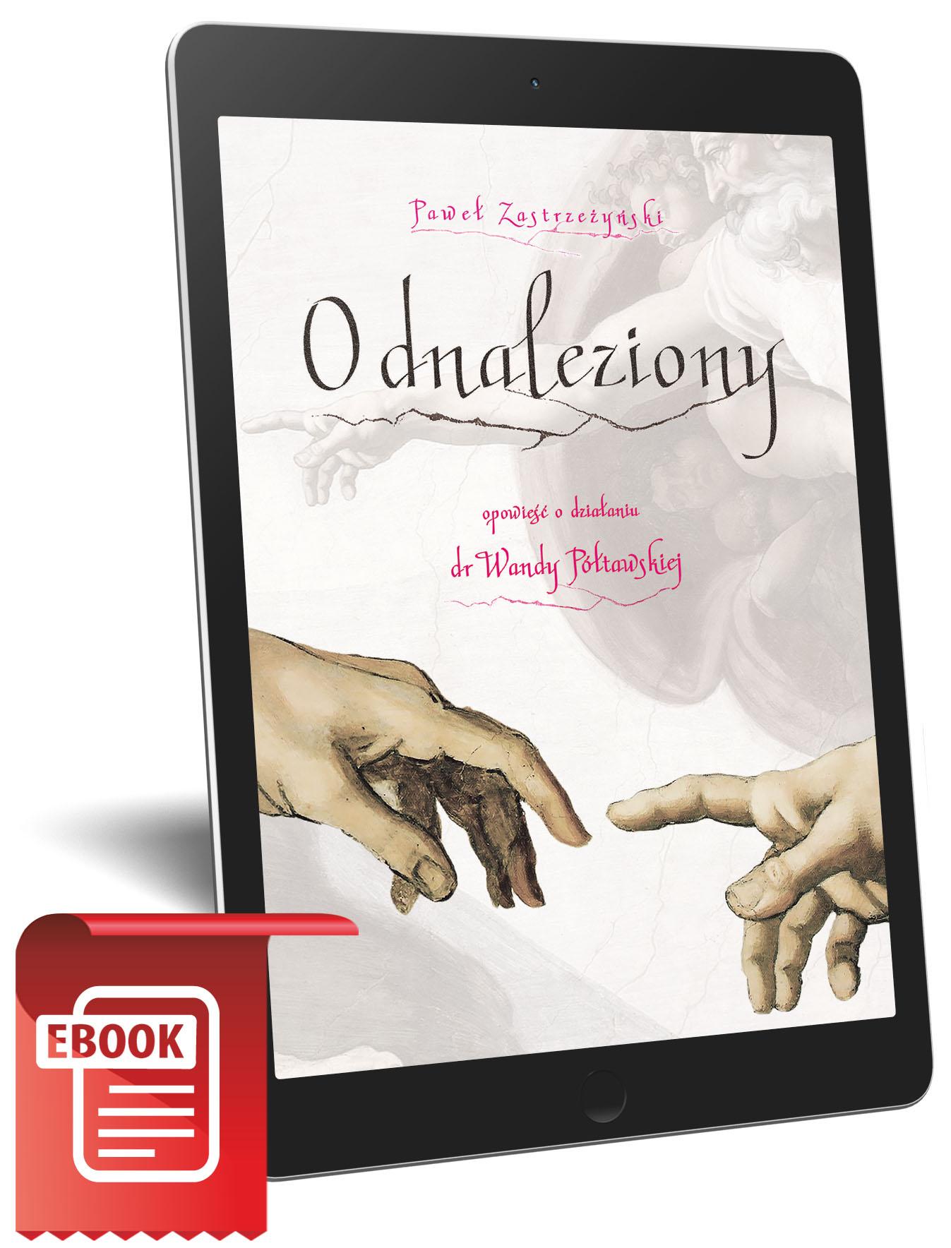 ODNALEZIONY SENS ebook